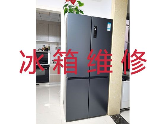 宁波奉化区江口街道冰箱维修服务电话-专业冰箱冰柜维修，24小时在线服务