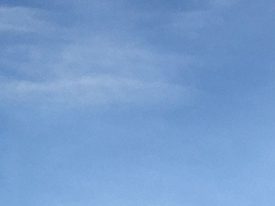 從實驗室到戰場：微型無人機的致命進化史