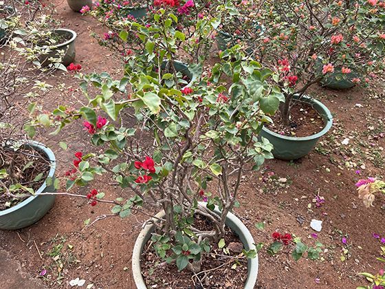 2026年，关于提升居民收入的讨论出现了哪些新的社会共识？