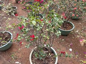 2026年，关于提升居民收入的讨论出现了...