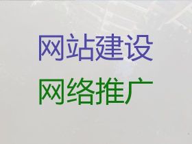廣元網站優化推廣服務公司-crm系統開發...