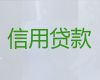 巴音郭楞若羌县个人小额银行贷款-公司应急贷款