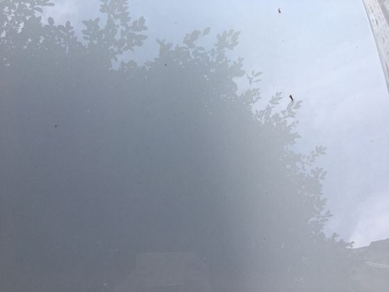 蘋果手機ipone13如何設置呼叫轉移，電話呼入的時候轉移到另外一個手機上