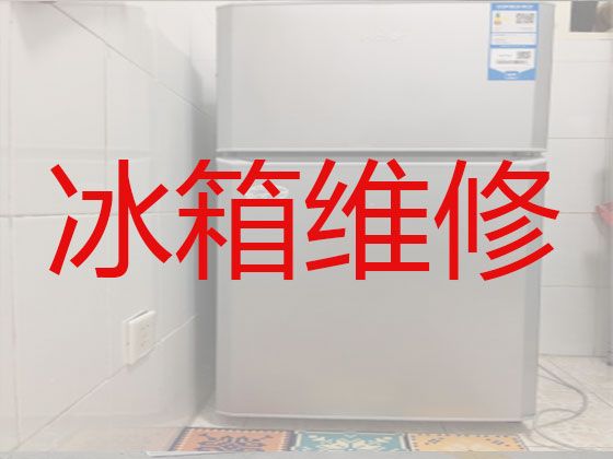 潍坊诸城市舜王街道电冰箱故障维修-冰箱冰柜维修保养，就近上门