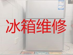 攀枝花電冰箱不通電維修-冰箱冰柜不通電...