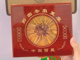 德州礼盒冬虫夏草上门回收-回收虫草价格