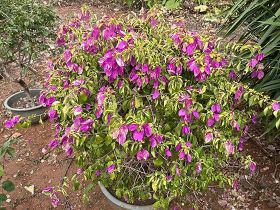 在2026年的线下兴趣沙龙中如何通过一个...