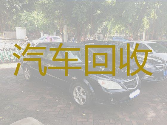 延边汪清县大川街道车辆高价回收，新能源二手车回收上门收车