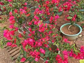 如何看待玩家社区共识与氛围对一款游戏内道...