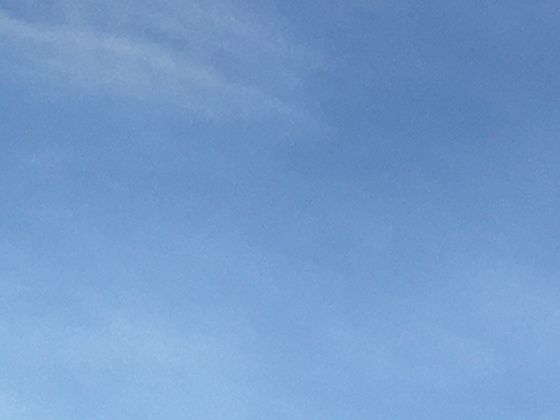 小龍蝦頭部到底能不能吃？
