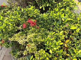 残疾孤老烈属的家庭成员可以获取哪些支持性...