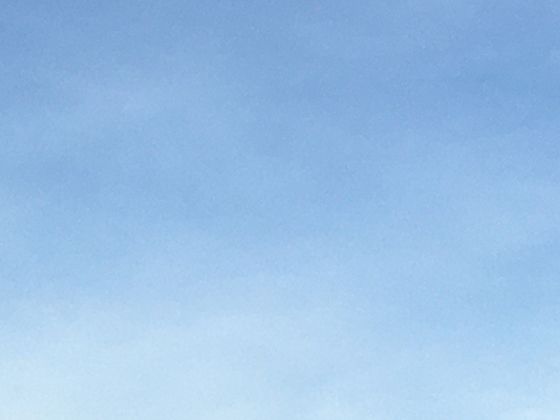 橡膠樹根瘤共生真相：放線菌如何幫助速生樹種固定氮素？