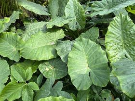 在2026年的全球化生活中，理解北京时间...