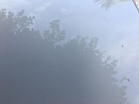 自由職業者該如何規劃社保？多種參保方案對...
