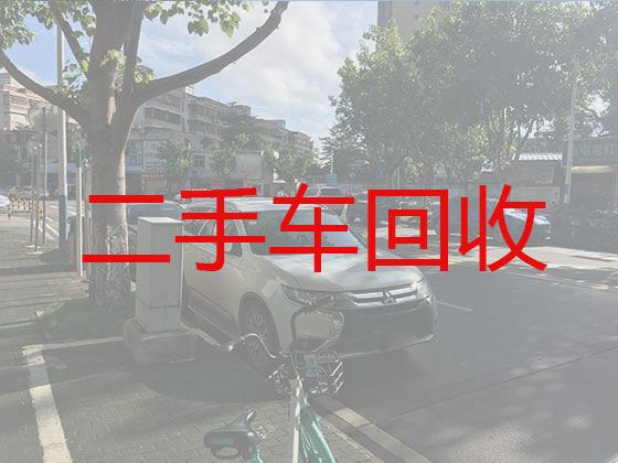 罗山县二手车高价回收电话-信阳新能源二手车回收电话