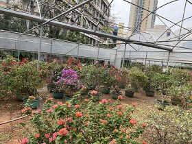 平台算法优化后，将距离作为首要派单因素，...