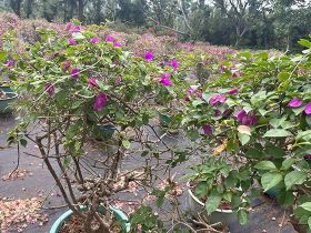 在房价高企的当下，年轻人该不该接受父母资...