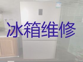 南平電冰箱不制冷維修服務-冰柜漏水漏電上...