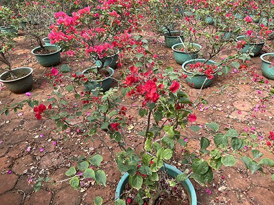 如何正确检查并确保ETC车载设备（OBU）安装牢固且电量充足？