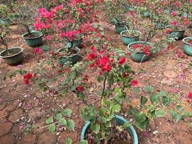 如何正确检查并确保ETC车载设备（OBU...