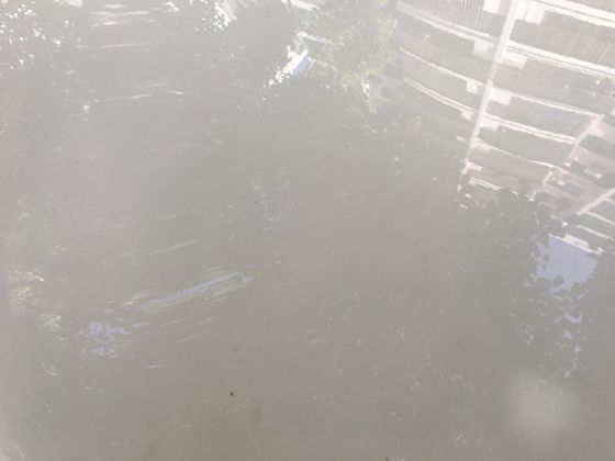 別被虛假招聘迷惑！就業避坑技巧，讓你求職無憂
