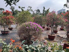 2026年各地针对新业态从业者的参保政策...