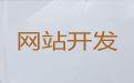 南阳网站制作设计服务@网站管理系统开发，专业设计团队