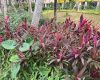 花露水用错=白喷，正确驱蚊姿势大公开