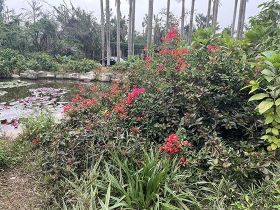 家庭冰箱保存鸡蛋的正确方法及其对保持新鲜...