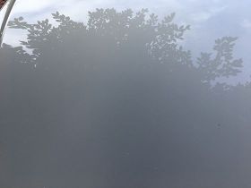 金盞菊在有機園藝中的妙用：天然驅蟲劑與土...