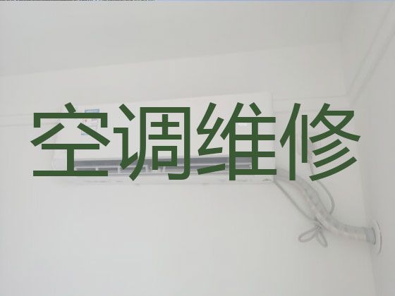 宿迁泗阳县众兴街道维修中央空调-空调上门检修，快速上门