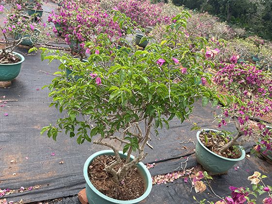 一線城市年薪百萬VS五線小城月入5千：誰的幸福感更高？