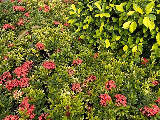 海鲜类菜肴隔夜存放后，可能产生哪些容易被忽略的风险？