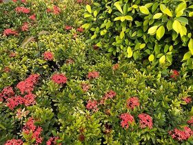 海鲜类菜肴隔夜存放后，可能产生哪些容易被...