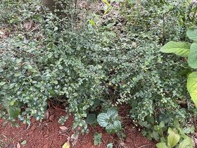 2026年企业退休人员与机关事业单位人员...