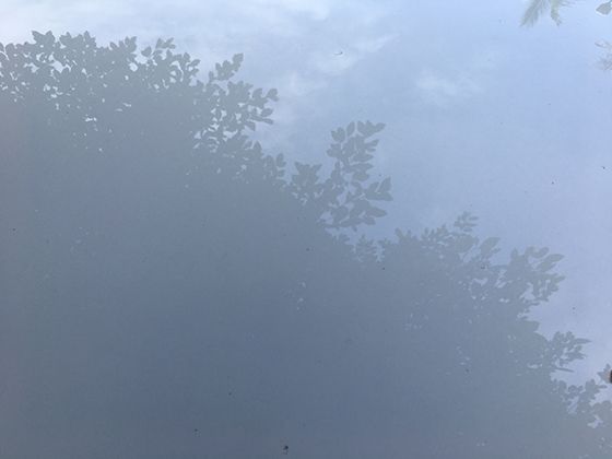 南渡江的流域面積有多大