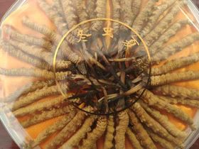 嘉善禮盒裝冬蟲夏草上門回收電話-禮品高價...