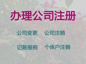阜寧縣公司地址掛靠費用-互聯網公司注冊...