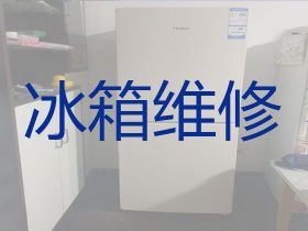 濱江專業冰箱維修師傅上門維修-冰柜漏水漏...