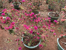 食品包装上的“保质期”究竟是如何通过科学...