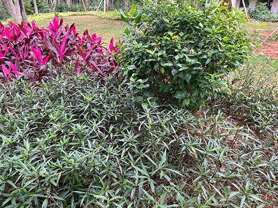 最低工资标准的变化趋势反映了什么经济信号？