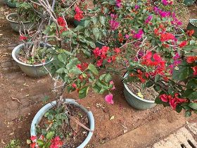 2026年跨省通行时，ETC用户如何确...