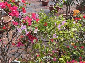 2026年春节，新能源车长途出行如何规划...