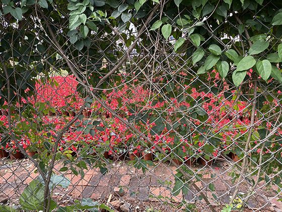 2026年网约车司机与外卖员的收入构成与算法优化，如何影响每日实际收入？