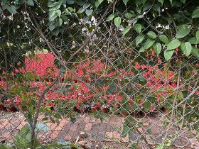 2026年网约车司机与外卖员的收入构成与...