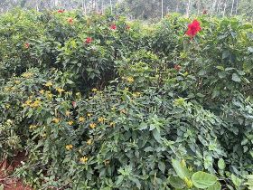 外卖、快递等平台信息泄露与后续骚扰电话...