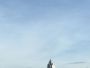 从命名由来到濒危危机：幽灵兰花的分类学特...