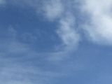2025夏至节气农事指南：农民伯伯的耕种秘籍