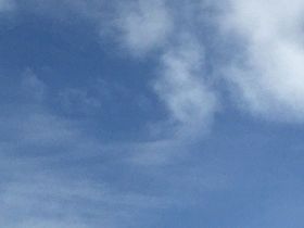 2025夏至節氣農事指南：農民伯伯的耕種...