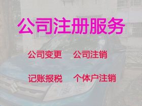 高郵市公司減資辦理-互聯(lián)網(wǎng)公司注冊，全...